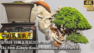 The 98th Kokufu Bonsai Exhibition 2024 Part2 Japanese Bonsai Ten 4K HDR [upl. by Yaron]