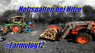 Holzspalter am Deutz 5006  Spaltgut mit Kubota L1 abfahren  Quälerei bei Hitze  farmvlog 12 [upl. by Lehcnom132]