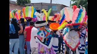 Carnaval Cocoyoc 2024 con la Banda skandalosa de Ozumba tocando el tradicional son del chinelo 2 [upl. by Janean]