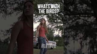 Whats With All The Birds Jeepers Creepers jeeperscreepers scary movie film [upl. by Yalc515]