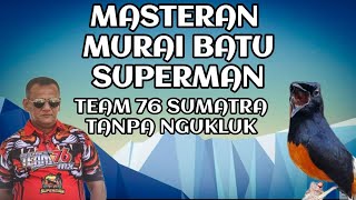 masteran murai batu superman team 76 sumatra tanpa ngukluk [upl. by Ammon529]