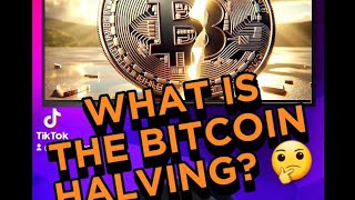 BITCOIN HALVING EXPLAINED [upl. by Irroc]