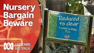 Risks of Nursery Bargain Buys  Pest and Disease Control  Gardening Australia [upl. by Merari65]