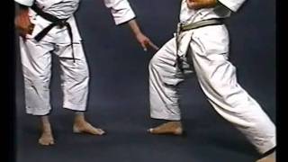 Shotokan KarateDo JKA  Nakayama Legacy 1 [upl. by Llerdnad]