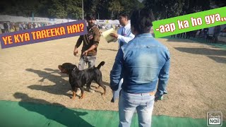 Dehradun Dog Show 2022Rottweiler Speciality [upl. by Brieta]