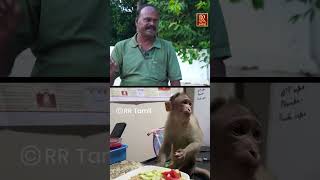 மருந்த பாத்தாலே ஓடிடுவான்  Little monkey  prani mitran  RR Tamil [upl. by Ardme430]