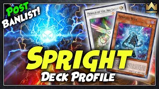 Spright POST BAN LIST Deck Profile  Combo Tutorial  January 2024  YuGiOh [upl. by Yngad]