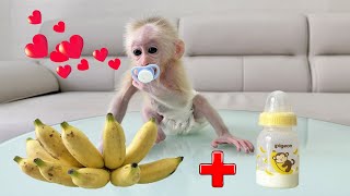 Bananas and Milk Luckys New Love [upl. by Ahsekyw]