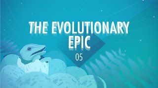 The Evolutionary Epic Crash Course Big History 5 [upl. by Ednyl]