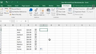 How to Create a Checkbox in Excel How to Insert a Checkbox in Excel [upl. by Hareema]