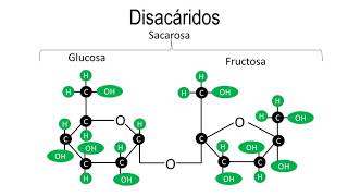 Carbohidratos  Monosacáridos oligosacáridos y polisacáridos [upl. by Florentia]