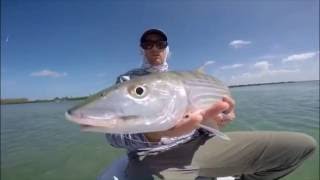 Bonefish in Islamorada [upl. by Einnej]