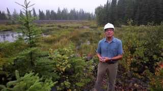 PolyMet Will Protect Minnesotas Environment [upl. by Eittel]