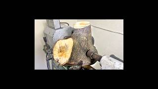 Woodturning  a natural edge plate woodturning woodworking woodturner wood diy woodwork [upl. by Emlynn]