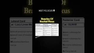 Brachial plexus neet neetmotivation success competition neetpg2025 [upl. by Retsek]