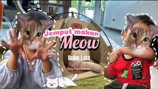 Meaw Cover Bubu Lala song [upl. by Aihsotan567]