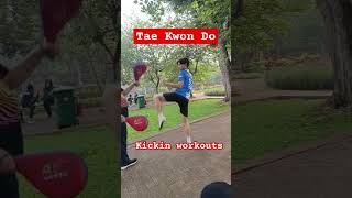 TAEKWONDO Kicking workout taekwondokicks taegeuk taekwondokorea kukkiwon reels faktaunik [upl. by Sidell427]