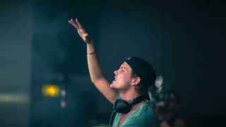 Avicii  Wake Me Upversão em português feita por ia [upl. by Lsil]