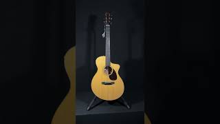 NEW Martin SC18 music martin [upl. by Busby]