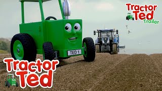 Spuds in Mud 🥔  New Tractor Ted Trailer  Tractor Ted Official Channel [upl. by Akemot]