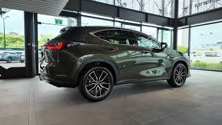 2024 Lexus NX 350h Limited SUV  QSH767 [upl. by Aihsilef501]