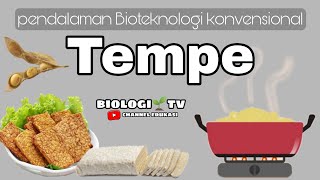 bioteknologi konvensional  pembuatan tempe  biologi kelas 12 bab biotenologi [upl. by Bork]