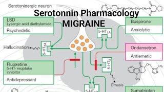 Autocoids1Serotonin Pharmacology amp Migraine   MBBS 2nd Year Pharmacology [upl. by Felicdad653]