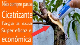 Como fazer pasta cicatrizante para plantas fácil e econômica [upl. by Herstein]