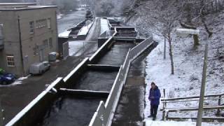 Fish Ladder Pitlochry [upl. by Norab]