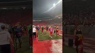 Red Star players and fans celebrate victory at the Champions League playoff vs Bodo Glimt shorts [upl. by Jessy]