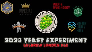 2023 Brewtubers Yeast Experiment  Lalbrew London Ale [upl. by Dadelos362]