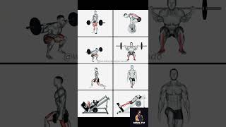 Quick Workout Video Perfect Your Leg Workout with Correct Form homeworkoutroutine shorts abs [upl. by Ihcas]