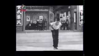 Choy Li Fut quotMon Gee Kuenquot 蔡李佛 萬字拳 [upl. by Nyltiak]