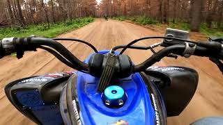 Raptor 700R amp YZ 450 Rip Through The Burnt Forest In Oscoda [upl. by Humbert]