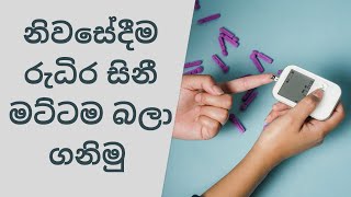 How To Test Blood Sugar  How To Use Prodigy Pocket Glucometer  ගෙදරදීම සිනි මට්ටම බලා ගනිමු [upl. by Adnaval216]