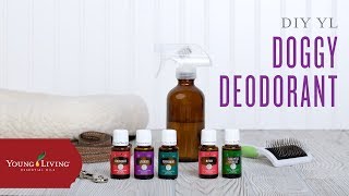 DIY Essential Oil Doggy Deodorant Young Living Essential Oils [upl. by Huskamp]