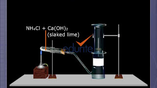 Ammonia Preparation [upl. by Norvell]