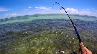 Wade fishing for Bonefish Florida Keys [upl. by Magnusson577]