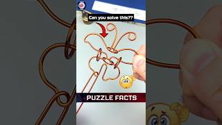 How to solve ring in butterfly Puzzle  Puzzle facts puzzle shorts [upl. by Carine34]