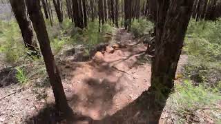 241027 MTB Jarrahdale Fox [upl. by Okihcas328]