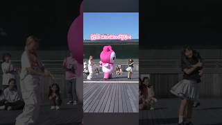 귀여운 순무와함께 삐끼삐끼재이월드 kpop 하은 dance 랜덤플레이댄스 랜플댄 kpop rdp [upl. by Rochkind595]