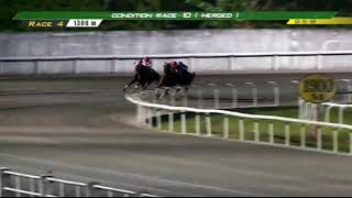 PRCI Race 4  December 5 2018 [upl. by Hosbein562]