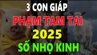 3 CON GIÁP gặp HẠN TAM TAI năm 2025 RẤT NHIỀU NGUY CƠ CẨN THẬN MẤT HẾT [upl. by Shawnee749]