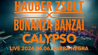 Hauber Zsolt X Bonanza Banzai  Calypso I Live I Music video [upl. by Aimej498]