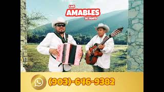 LOS AMABLES DE TAMPS POLKA ACORDEON Y BAJO SEXTO [upl. by Direj951]