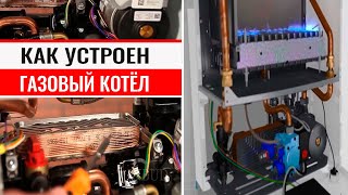 Как устроен настенный газовый котёл и принцип его работы [upl. by Nylave366]