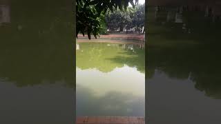 familyentertainmentbdcid familyentetainmentbd banglafunnyvideo desicid [upl. by Nancy]