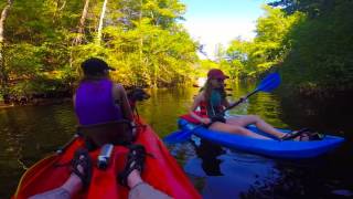 Kayaking on Chilhowee Lake with MOOSE [upl. by Marieann]