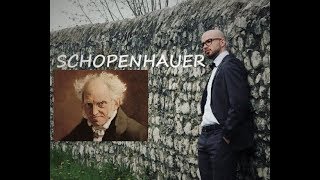 Arthur Schopenhauer Volontà di vivere «vita pendolo tra dolore e noia» e lamore come illusione [upl. by Sorilda]