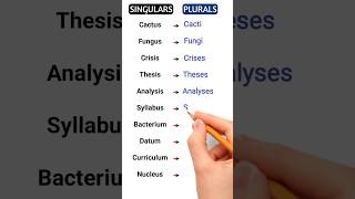 plural and singular in english part 3 english shorts plural [upl. by Tnecnev]